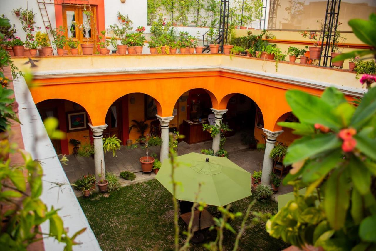 Los Arrayanes Oaxaca Extérieur photo