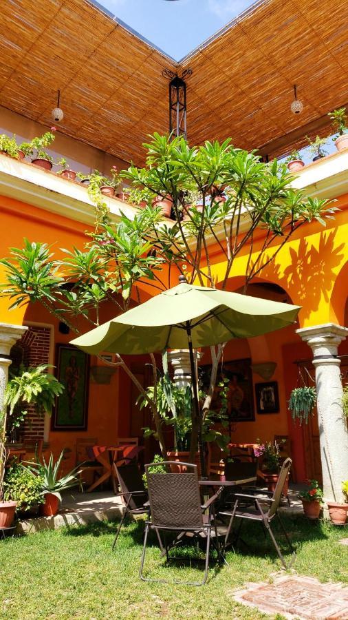 Los Arrayanes Oaxaca Extérieur photo